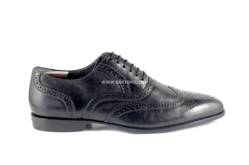 Ambassador - Chestnut Wingtip Oxfords